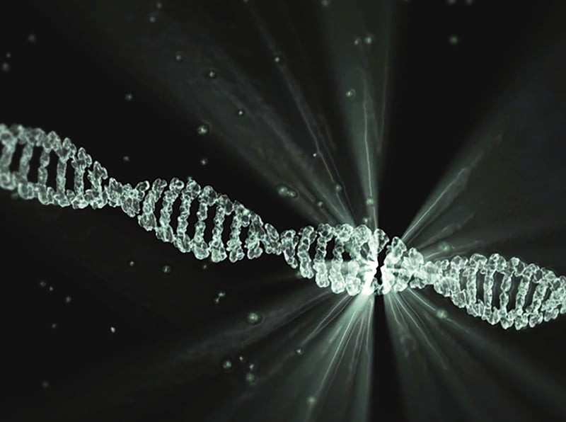 Quantum Disruptor